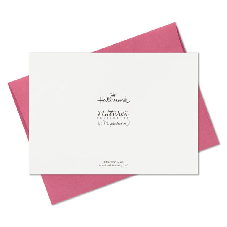 Hallmark Marjolein Bastin Assorted Blank Nature Note Cards In Caddy, Pack Of 24 - Image 9