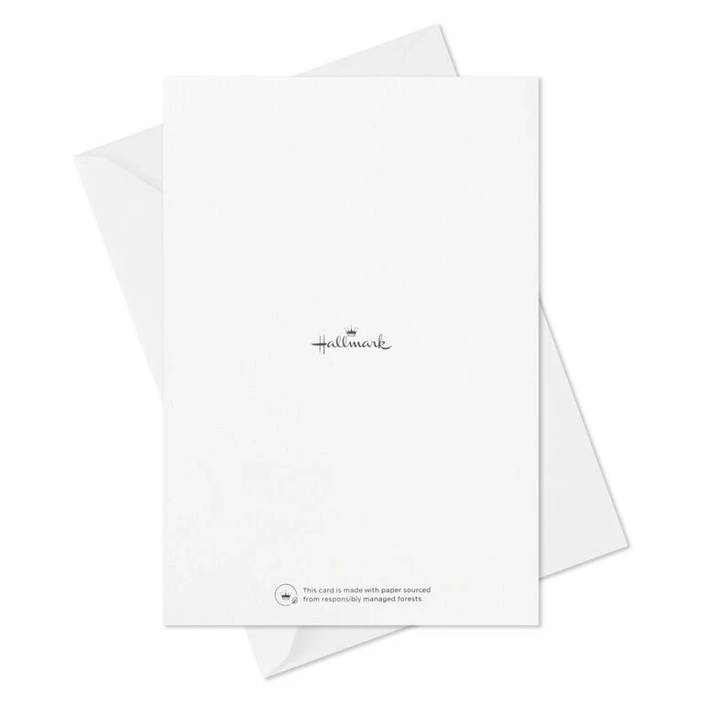 Hallmark Colorful Classic Boxed All-Occasion Cards Assortment, Pack Of 12 - Image 10