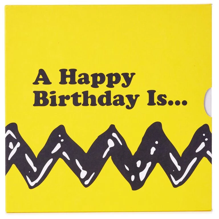 Hallmark Peanuts® A Happy Birthday Is… Book - Image 3