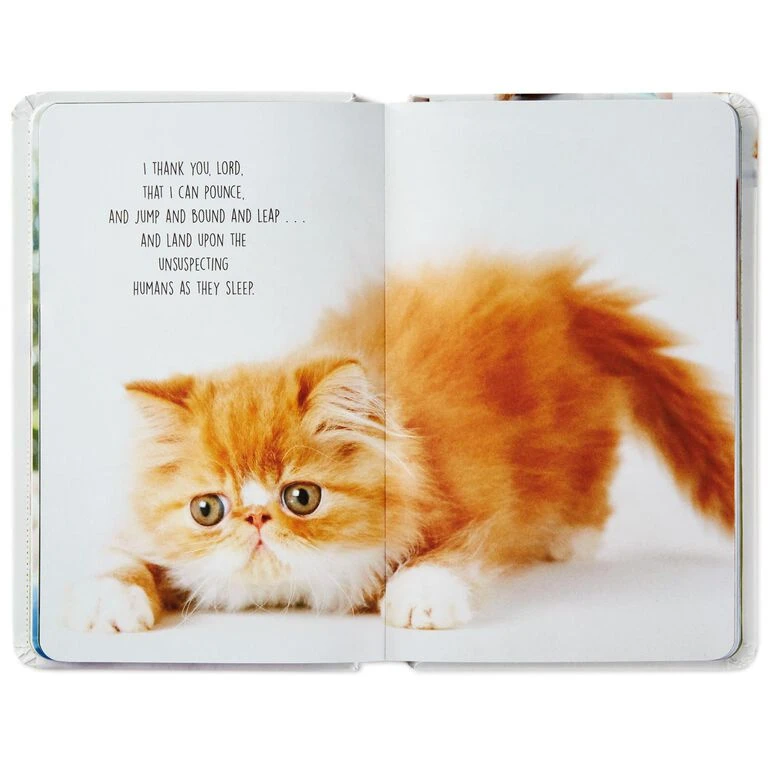Hallmark Pet Prayers: Funny Pleas And Praise From Our Animal Friends Book - Image 3
