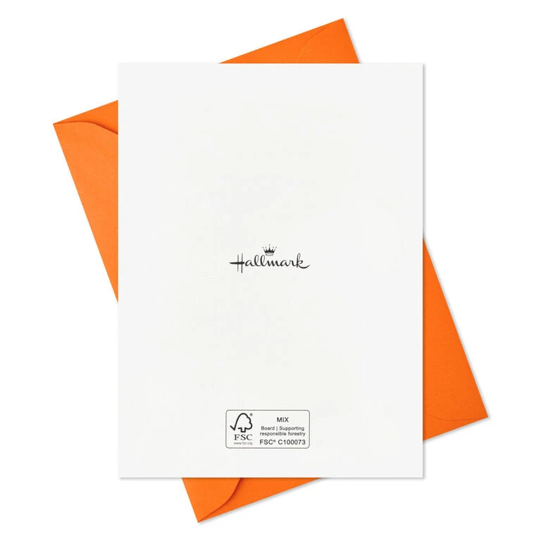 Hallmark Pet Puns Boxed Halloween Cards Assortment, Pack Of 48 - Image 5